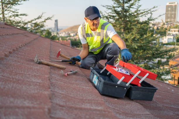 Best Historical Building Siding Restoration  in Jackson, KY